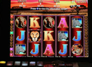 旺财28APP最新版